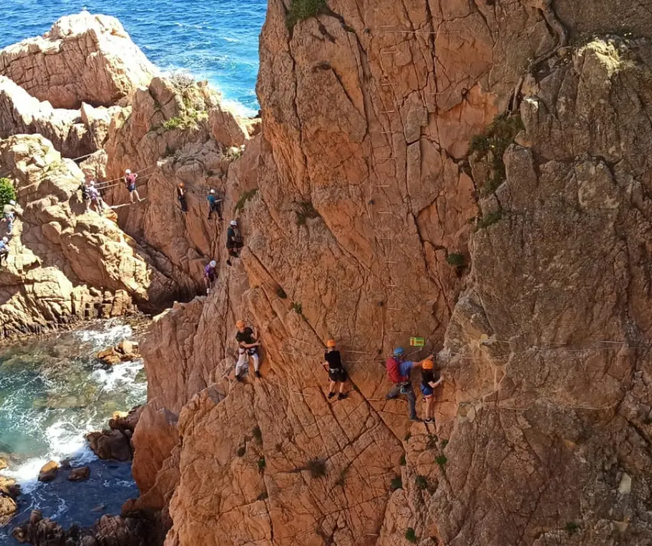 leader scolaire 4.webp