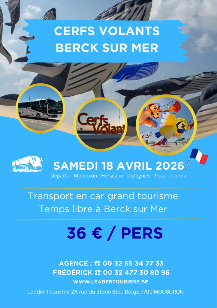 les cerfs volants de Berck 2026 .webp