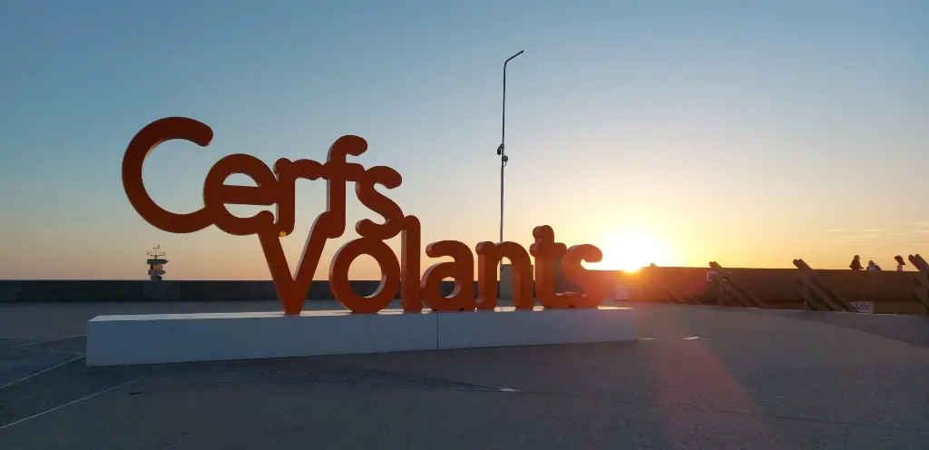 cerfs volants de berck 2026.webp