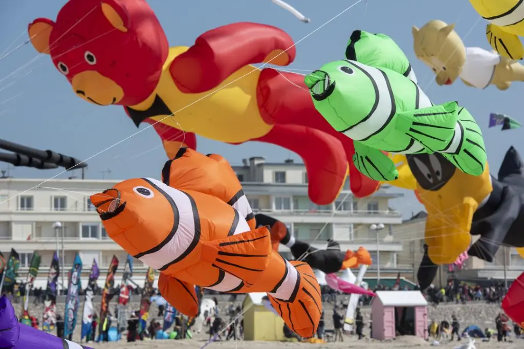 cerfs volant berck 2026 2.webp