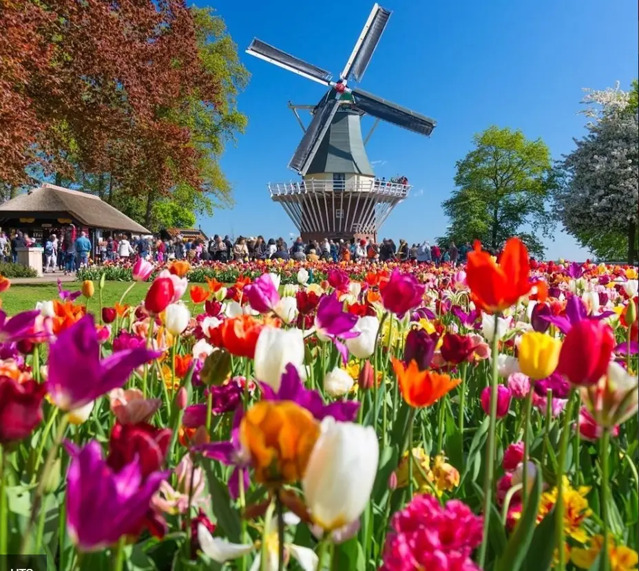 Capture d'écran 2023-11-02 110350.webp