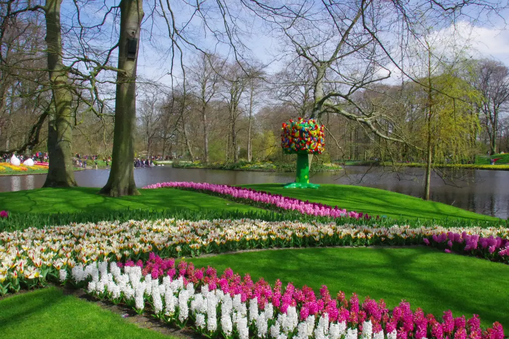 keukenhof-5136576_1920.webp