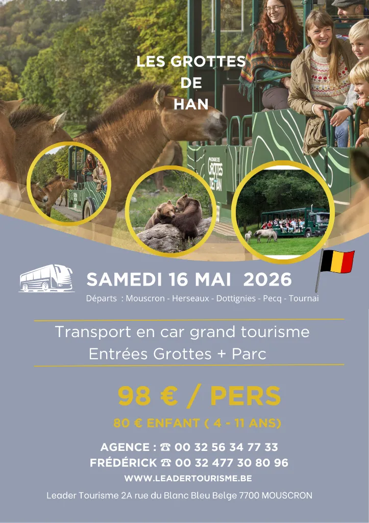 Les grottes de Han (1).webp