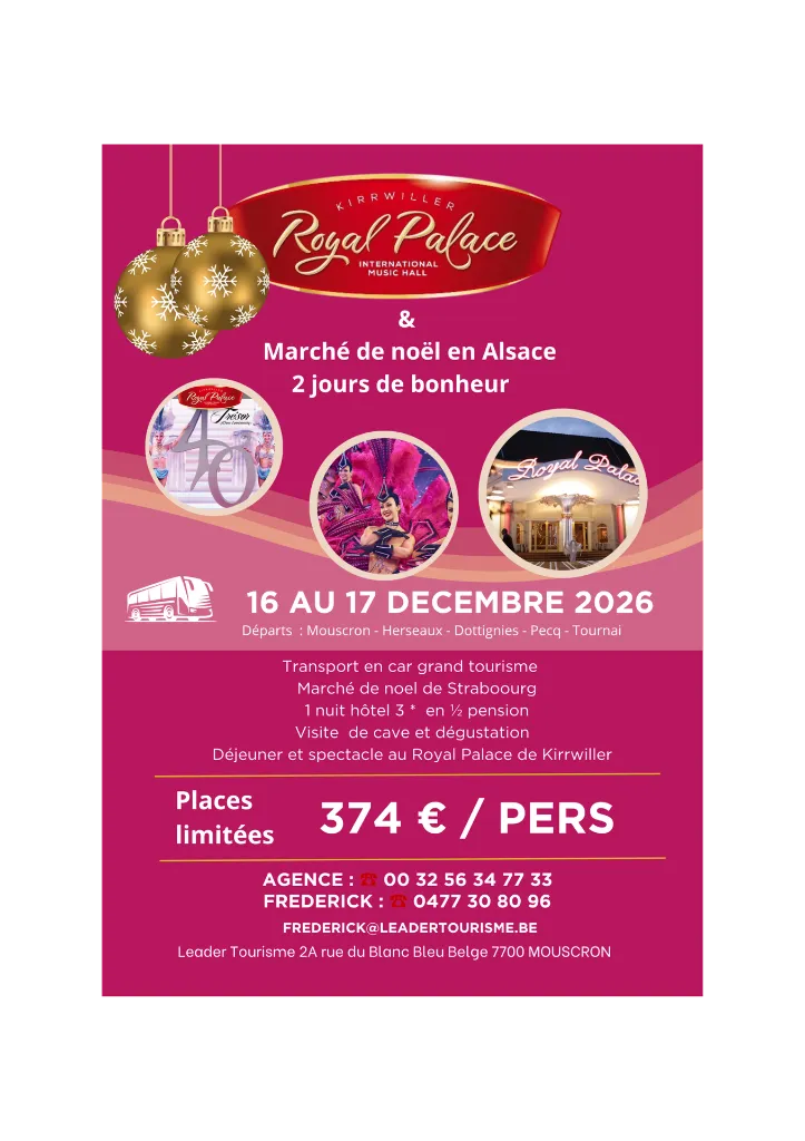 Royal palace et marche de noe l (5).webp