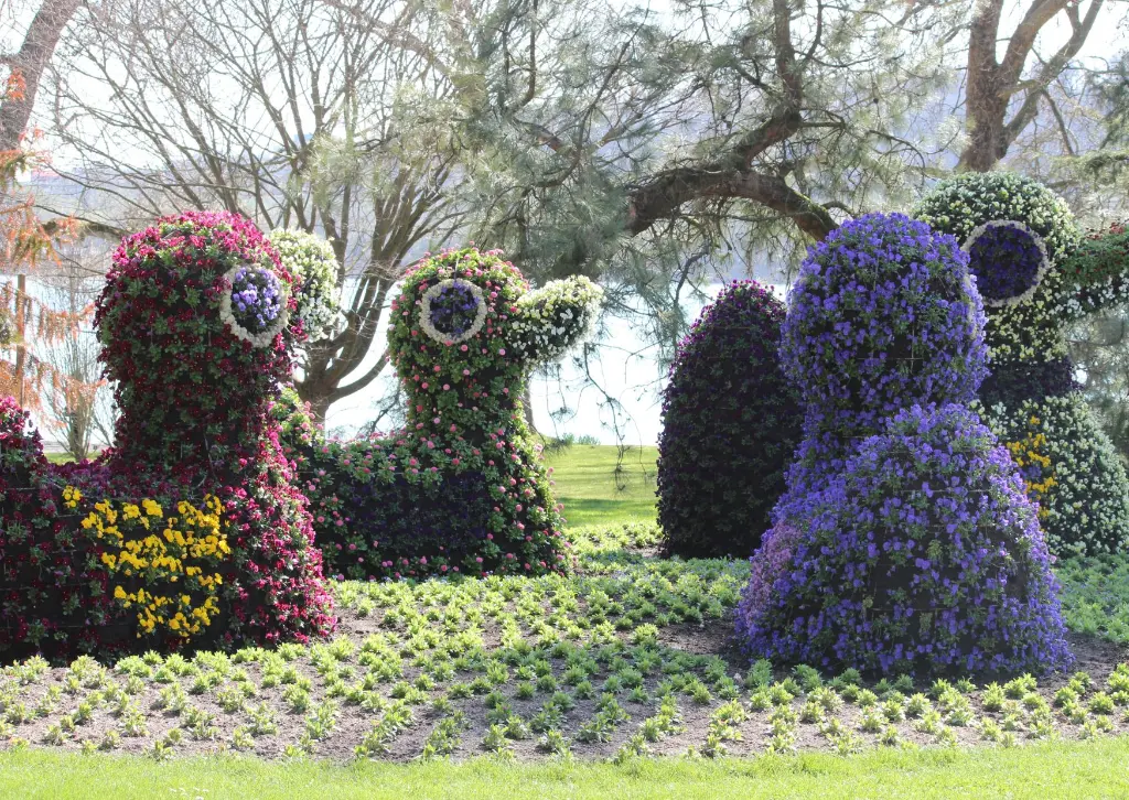 Nouvelles dates mont st michel mars 2025 (3).webp