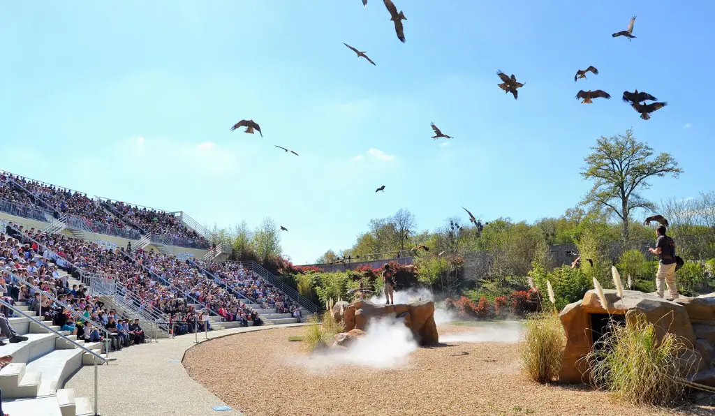 maitre des airs.webp