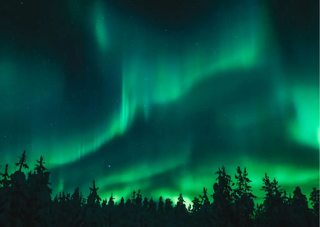 Bienvenue en Laponie Suédoise | Du 05 au 12 décembre 2026 (Non, Non)