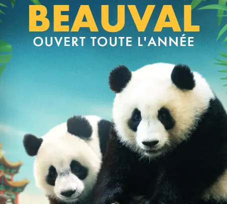 Du Château de Chambord au Zoo de Beauval | 06 au 07 juin 2026