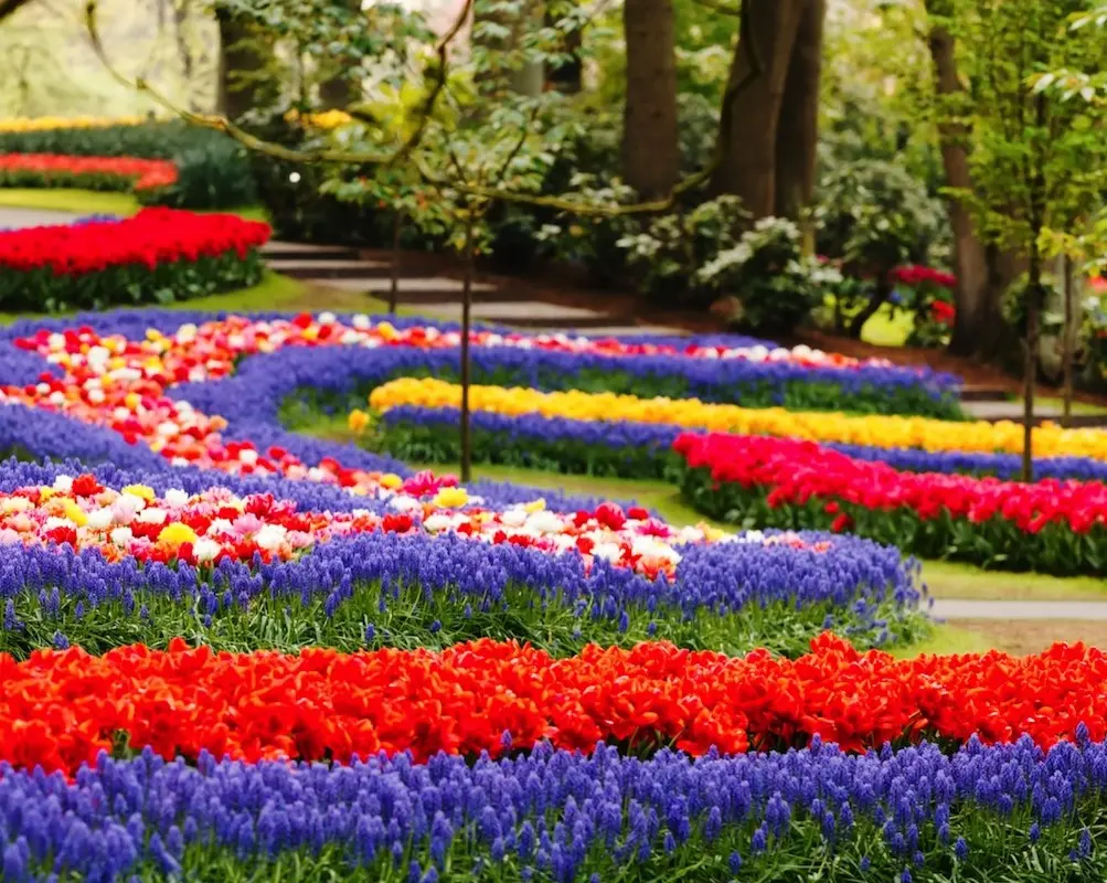 Keukenhof jardin extraordinaire  | Samedi 28 mars 2026 (Adulte)