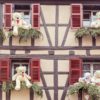 The city of Colmar is decorated for Christmas.