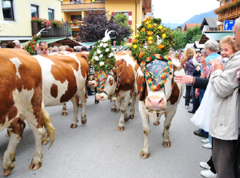 TYROL TRANSHUMANCE