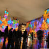 Terreaux Lumière 2008