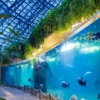 zoo de beauval 1