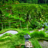 bali circuit mai 2026 4