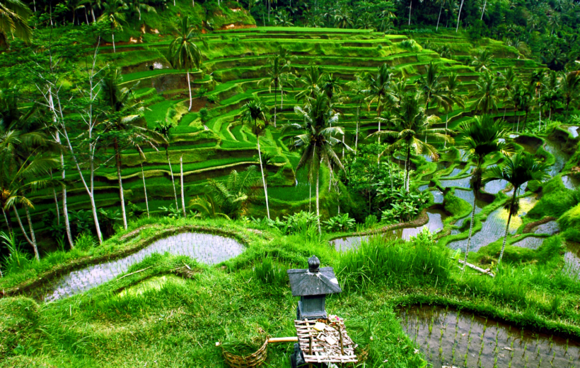 bali circuit mai 2026 4